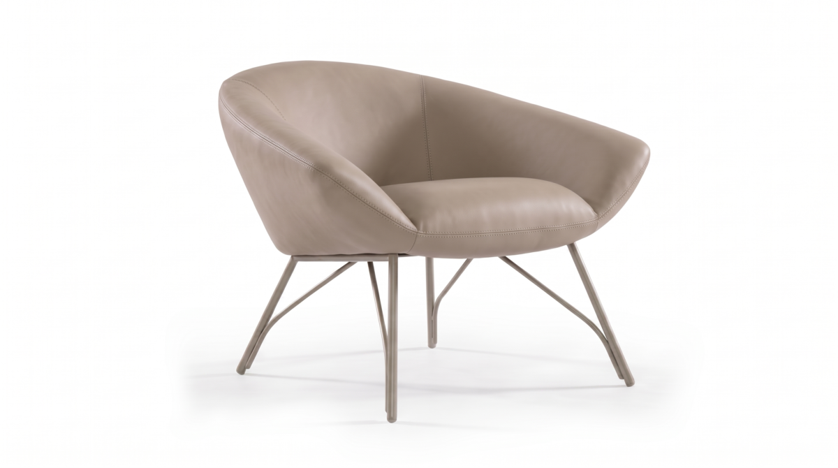 Rene Rr product photo