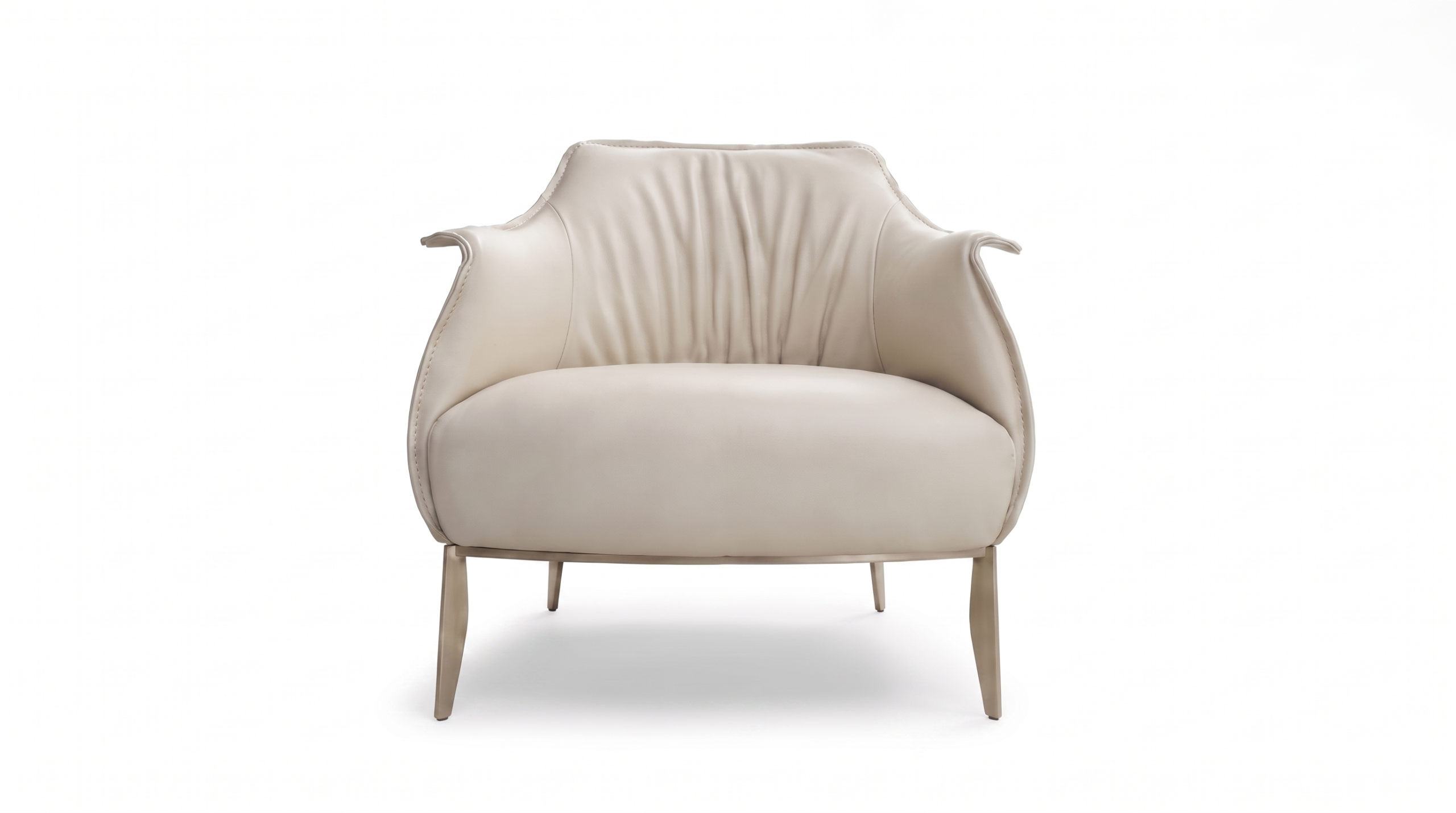 Ted product photo