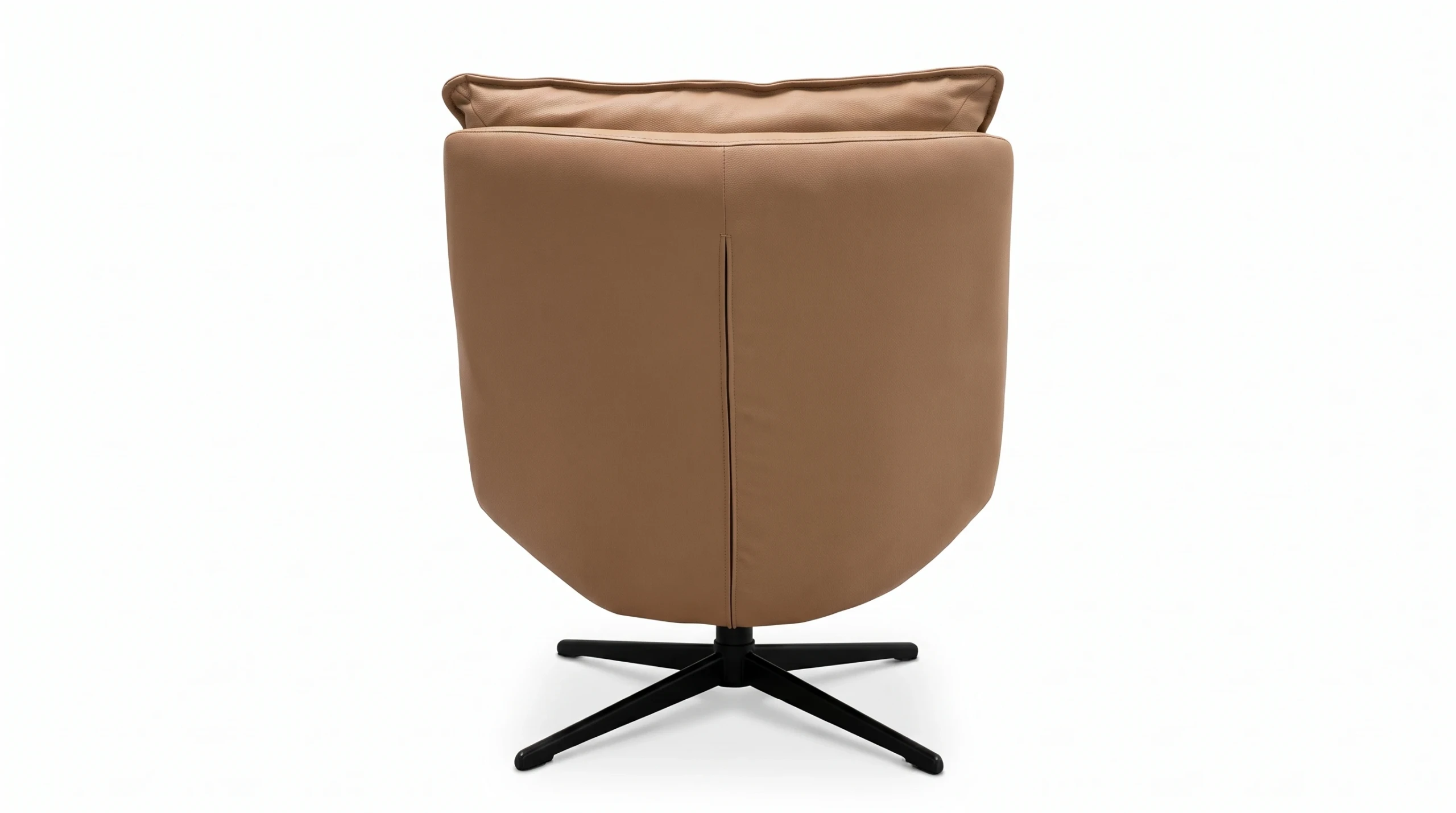 Moa armchair, back view